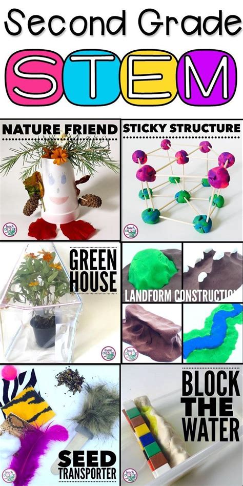 Fifth Grade Plant Biology Stem Activities For Kids 5th Grade Parts Of A Seed - 5th Grade Parts Of A Seed
