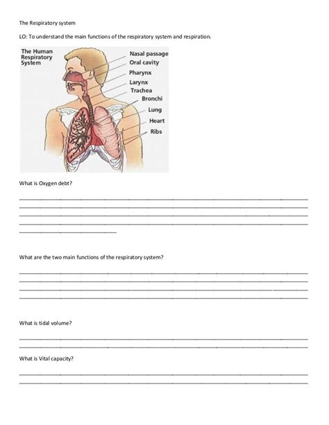 Fifth Grade Respiratory System Reading Passage Comprehension Twinkl Vestibular System Worksheet 5th Grade - Vestibular System Worksheet 5th Grade