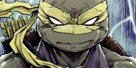 Fifth Ninja Turtle