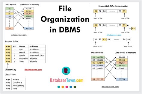 file organization