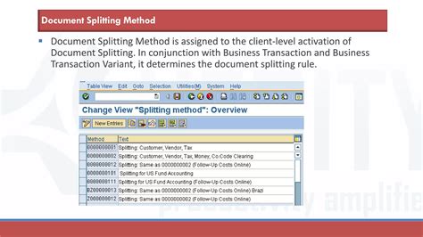 Read Online Files For Sap Document Splitting 