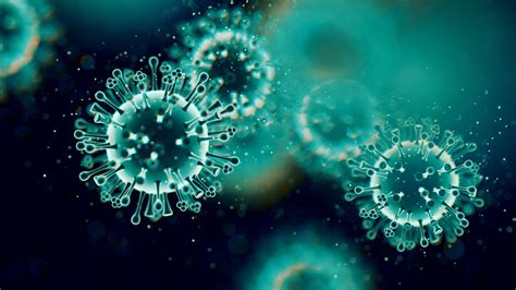 filme ueber die epidemie der viren und das ende der welt
