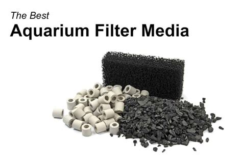 filter media
