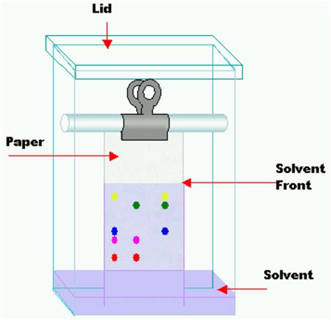 Full Download Filter Paper Chromatography Lab 