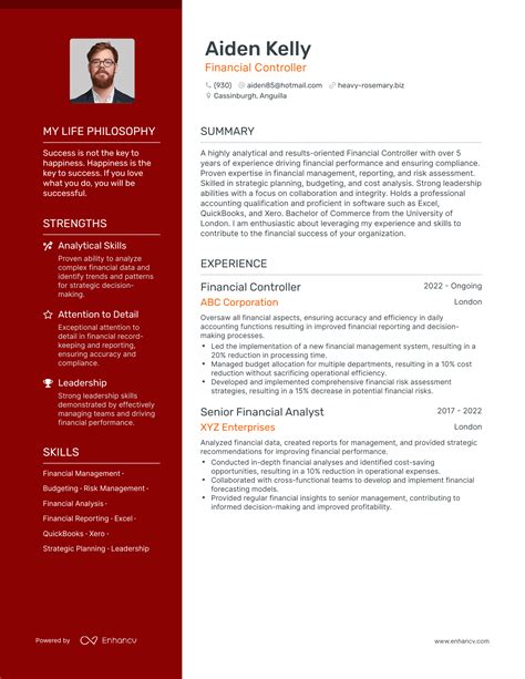 financial controller bio examples