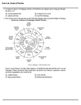 finches state lab answers
