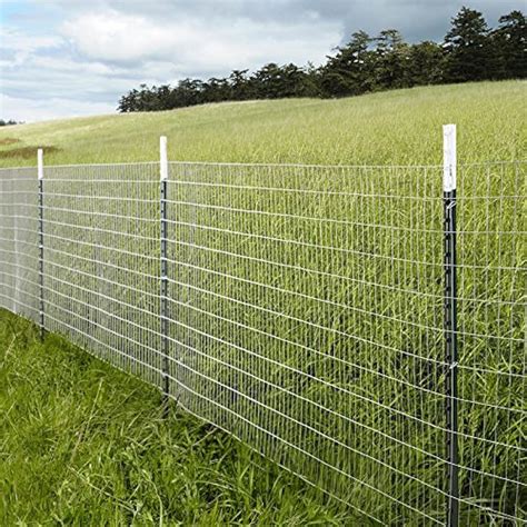 Find Fences Supplies On Ebay Seriously We Have Fencing Fields Vault - Fencing Fields Vault