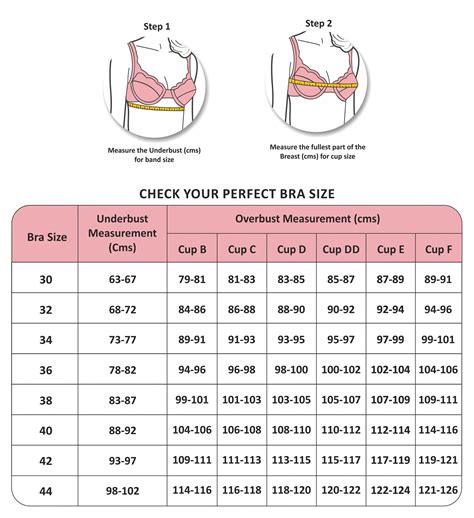 Finding Bra Size Chart