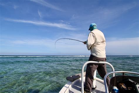 finding fish