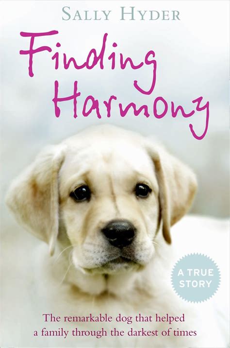 Finding Harmony The Remarkable Dog That Helped A Family Through The Darkest Of Times