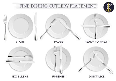 Read Fine Dining Service Rules 