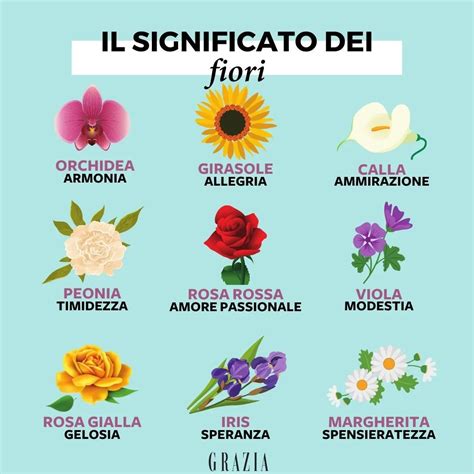 fiori con la zeta