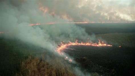 fire florida everglades