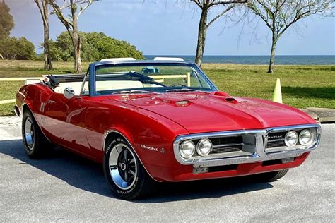 firebird