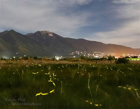 firefly utah