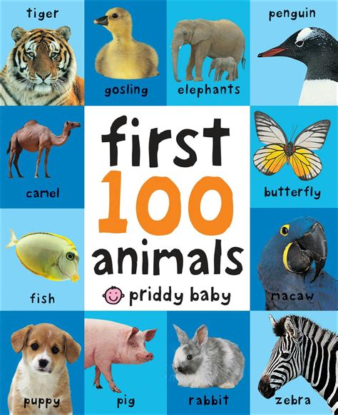 First 100 Animals First 100 Soft To Touch Board Books