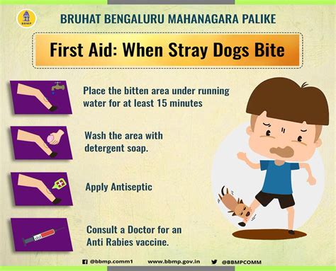 first aid in case of dog bite
