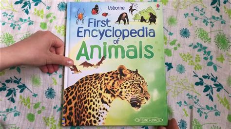 First Encyclopedia Of Animals Usborne First Encyc