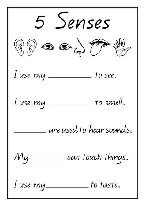 First Grade Science Worksheets Or Senses Worksheet Senses Worksheet Grade 2 - Senses Worksheet Grade 2