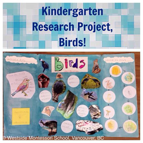 First Grade Zoology Science Experiments Science Buddies Animals Science Experiments - Animals Science Experiments