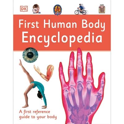 First Human Body Encyclopedia ( D K First Reference)