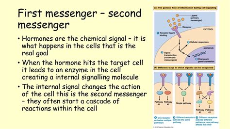 First Messenger System