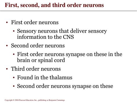 First Order Neurons