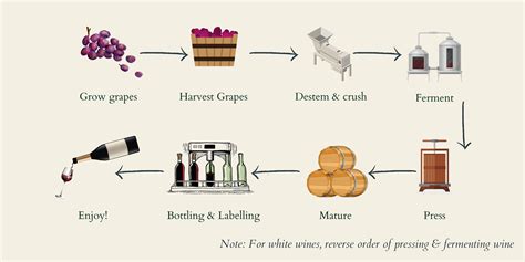First Steps In Winemaking