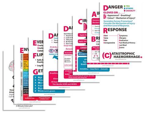 Full Download First Aid Aide Memoire 