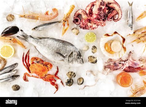 Fisch Und Meeresfruchte