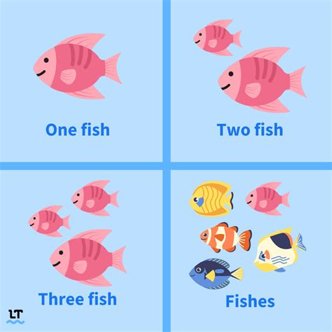 Fish By Fish