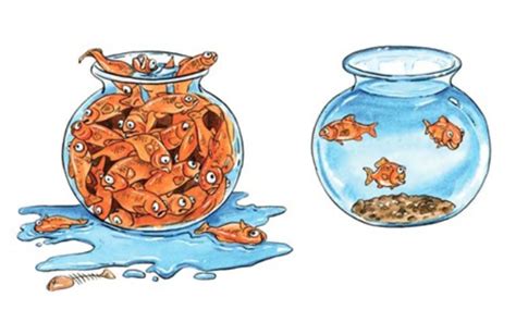 Fish Carrying Capacity