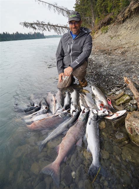 fish counts alaska