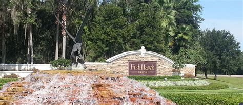 fish hawk florida