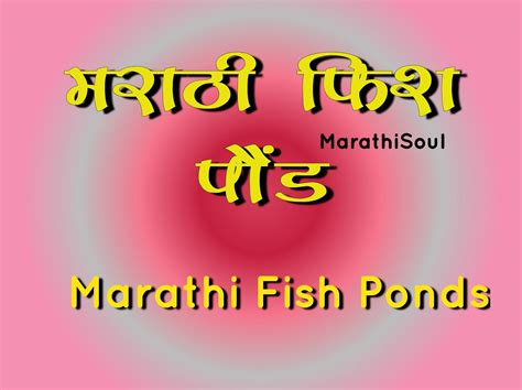 fish pond in marathi s