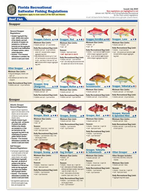 fish rules florida