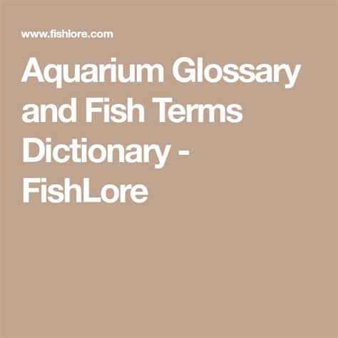 Fish Terms Of Edearment