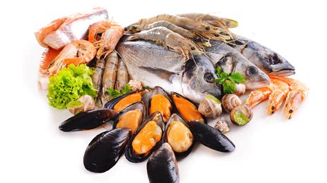 Read Online Fish Shellfish 