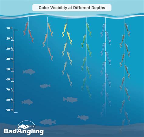 fishing color