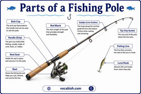 fishing for functions mathbits