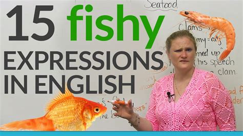 Fishy E Free Translation Com Definition Of Fishy Fishy Fractions - Fishy Fractions