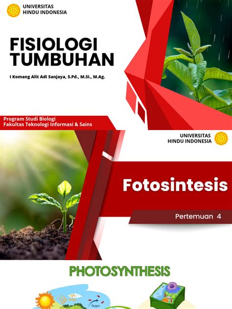 fisiologi tumbuhan fotosintesis pdf