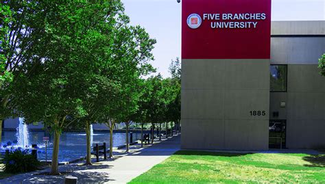 Five Branches University