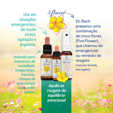 five flower remedy flashback