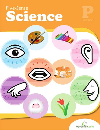Five Sense Science Workbook Education Com Five Senses Science - Five Senses Science