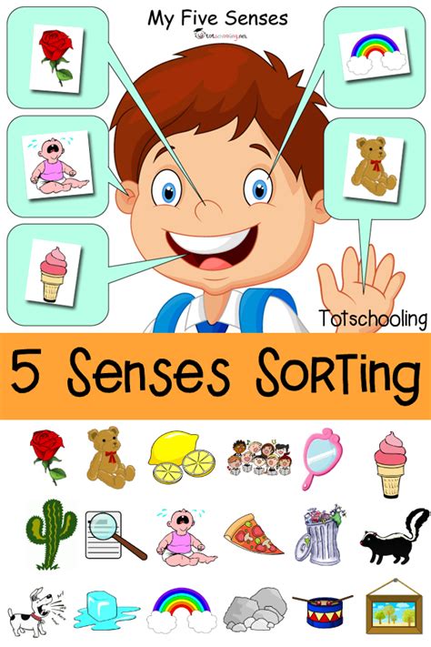 Five Senses Activity For Kindergarten And 1st Grade Sensory Words Worksheet First Grade - Sensory Words Worksheet First Grade