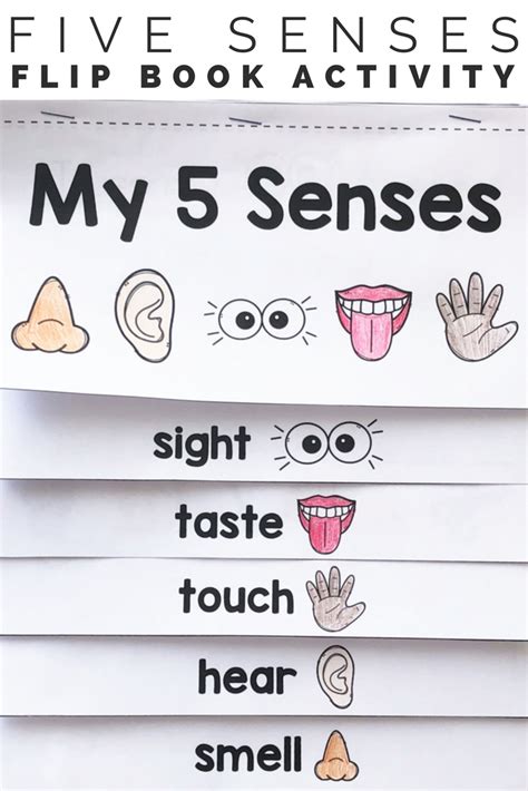 Five Senses Book Study Unit And Lesson Plans 5 Senses Science Lesson Plans - 5 Senses Science Lesson Plans