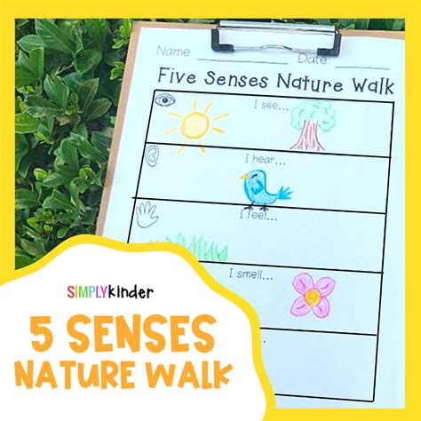 Five Senses Nature Walk Teacher Made Twinkl Nature Walk Activity Sheet - Nature Walk Activity Sheet