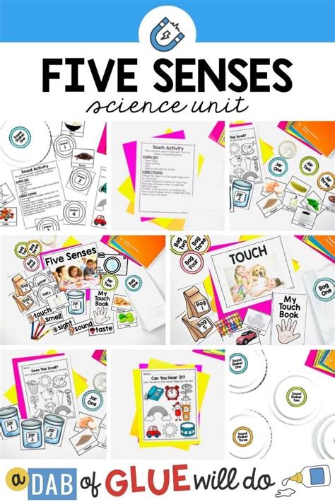 Five Senses Science Unit Hands On Learning Activity Science Unit Lesson Plans - Science Unit Lesson Plans