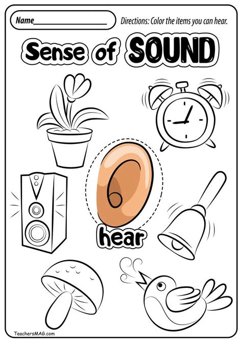 Five Senses Worksheets Teachersmag Com Preschool 5 Senses Worksheets - Preschool 5 Senses Worksheets